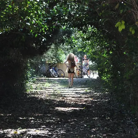 The White Rabbit Eco-lodge 