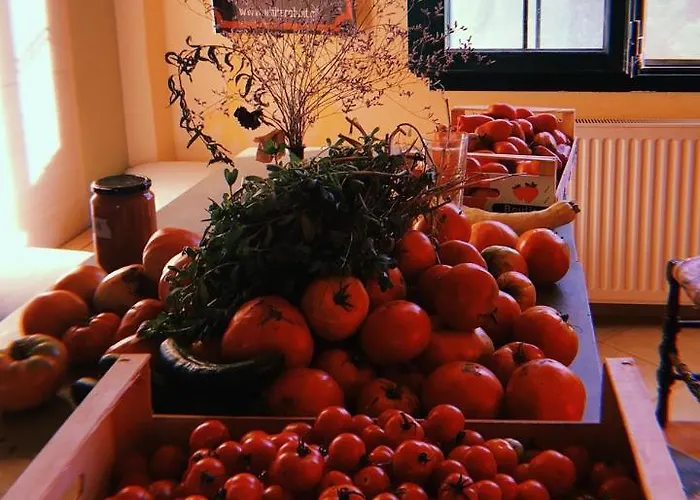 The White Rabbit Eco-lodge 