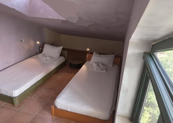 The White Rabbit Eco-lodge 