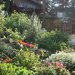 The White Rabbit Eco-lodge 