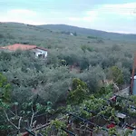 Apartment The White Rabbit Eco-lodge 