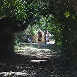 The White Rabbit Eco-lodge 