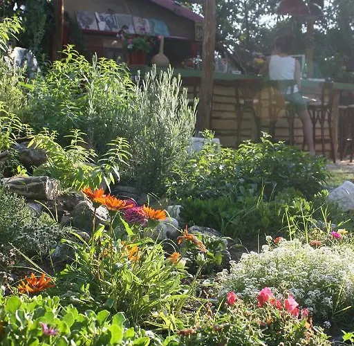 The White Rabbit Eco-lodge 